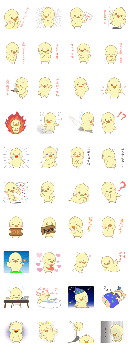 chick365