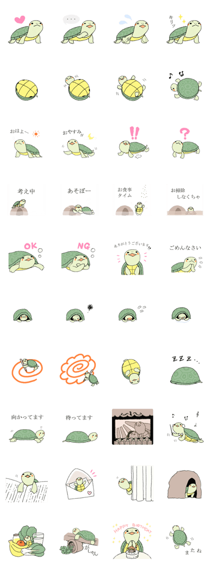 Green turtle Jyunichi