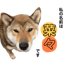 kurumi_20200622194753