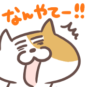 Kansai dialect of the cat.