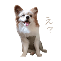 Hikari_20200622201846