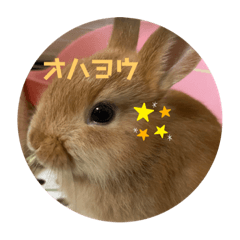 tono_20200622232234