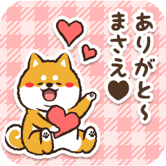 Pocha Shiba Masae (Love)