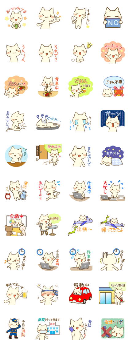 White cat(work & daily)