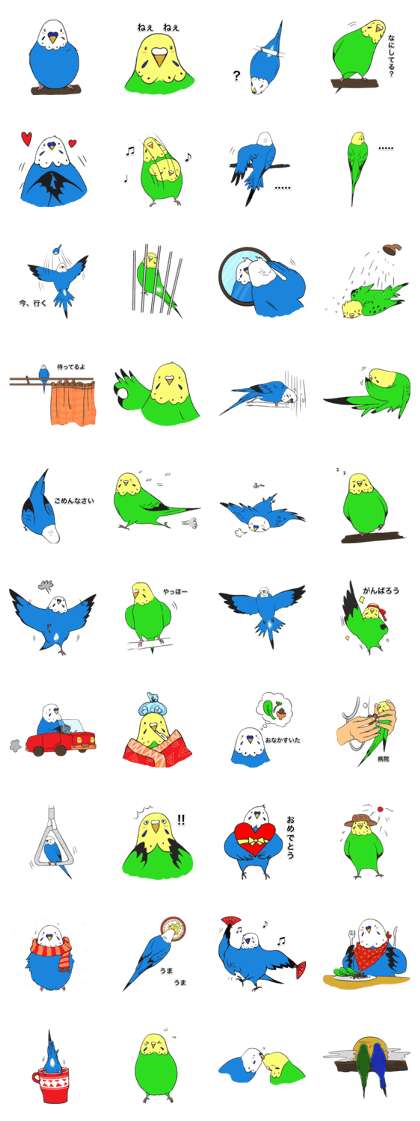 Budgerigar's everyday life (Japanese)