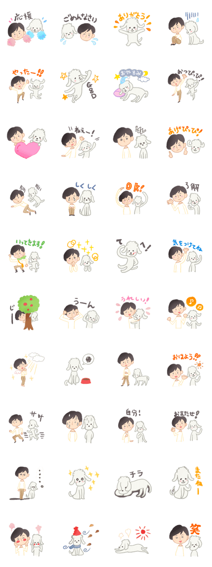 Toy Poodle and girl