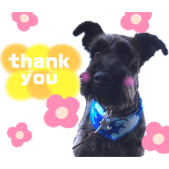 s.k.n_20200623010412