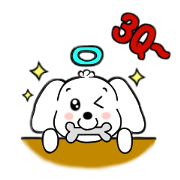 cute maruchan