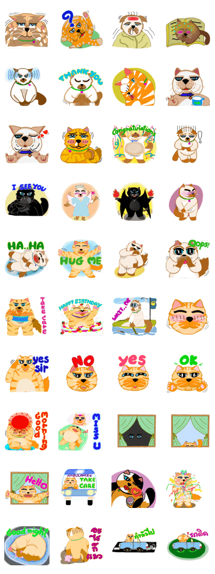 The cats Gang 2.