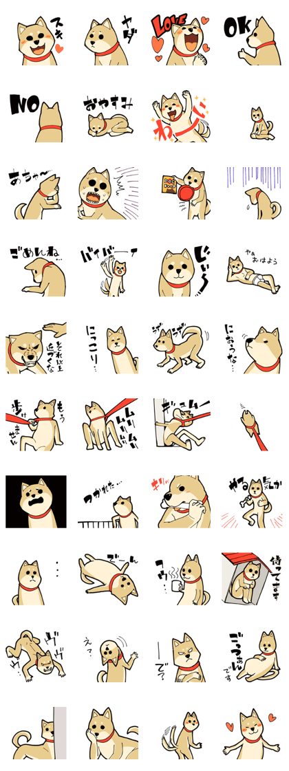 Shiba Inu dog man