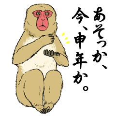 ニホンザルこれくしょん Line スタンプ Line Store ニホンザルこれくしょん Line スタンプ Line Store
