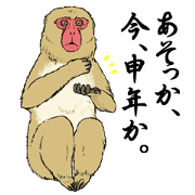 Japanese monkey collection