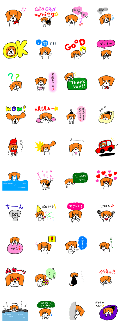 Cute beagle, Hana 2