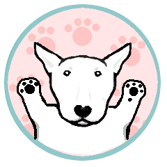 My friend Bull Terrier