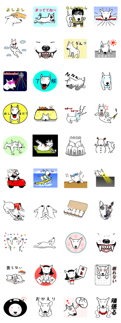 My friend Bull Terrier