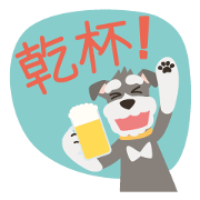 M Schnauzer HARU