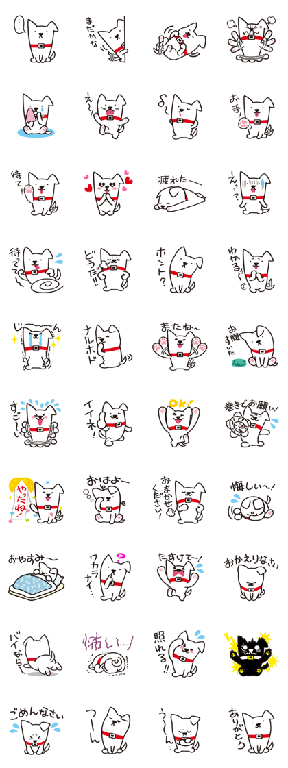 I am SHIBUYA HACHI.