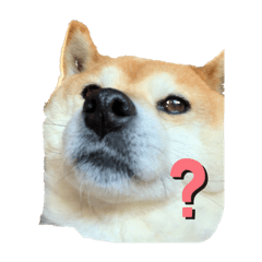 NATSUMI_20200623062235