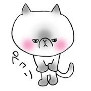 Nekoo exotic short hair(cat) vol.2