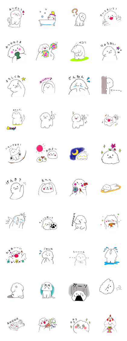 Bichon Frise nico