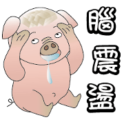 Concussion-pigs(1)