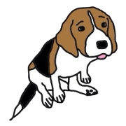I love my beagle!