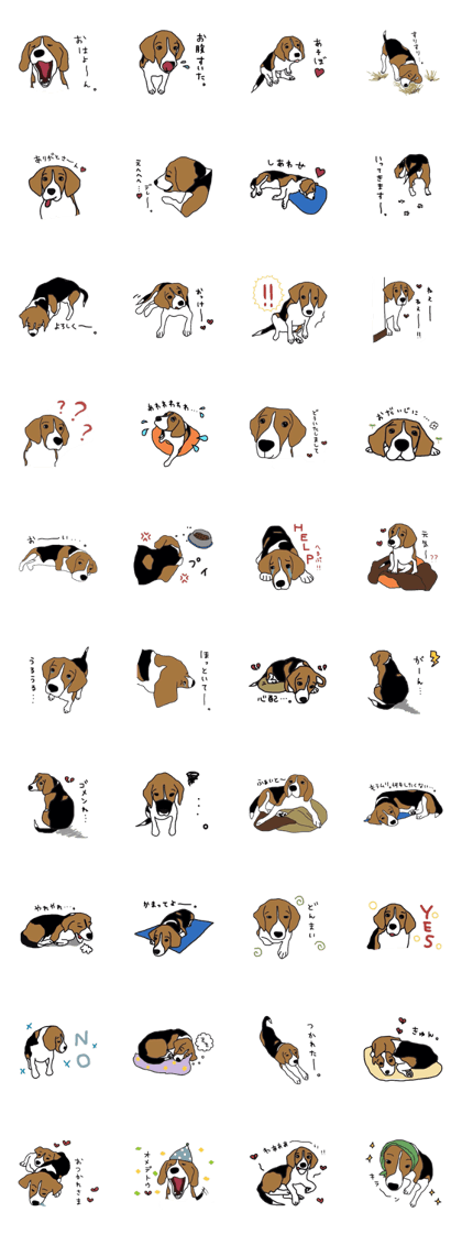 I love my beagle!