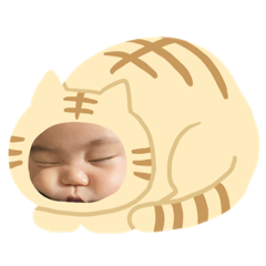 mochi_20200622175314