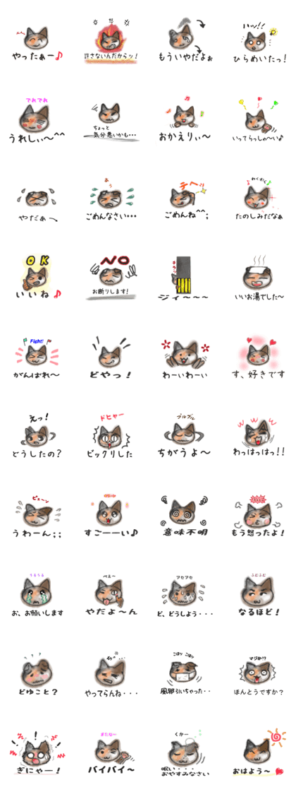 Frequently used words "Calico cat"