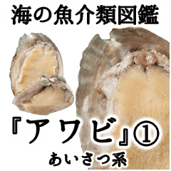 水生生物集 アワビ Ver 1 挨拶系 Line スタンプ Line Store 水生生物集 アワビ Ver 1 挨拶系 Line スタンプ Line Store