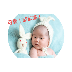 Bella 小妞 日常！