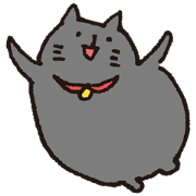 loose black cat