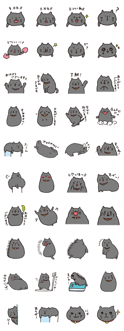 loose black cat