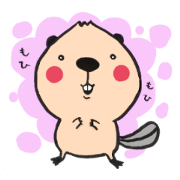 MOHIMOHI BEAVER