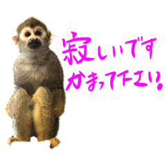 mizuk1_20200622005544