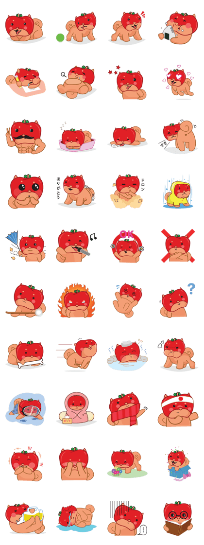 Ringoken apple dog
