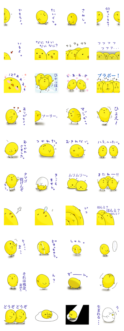 Verbose chick2