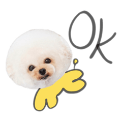 dle.dogdesign+run_20200623161302