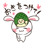 Motchiri Usagi & Kame