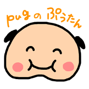 pug "pu-tan"
