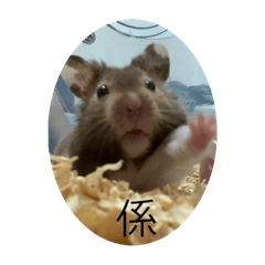 灰灰の日常用語