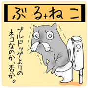 BULL+NEKO