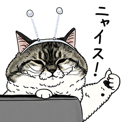STRANGE WORLD OF CATS -NYAISU!-