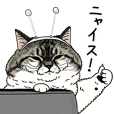 STRANGE WORLD OF CATS -NYAISU!-