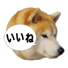 NANAKO's smile stamp