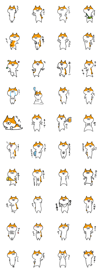 maruo of cat2