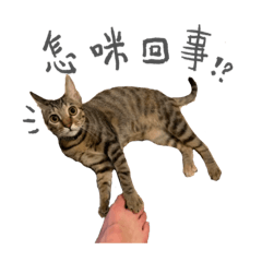 斷片的第一組貼圖