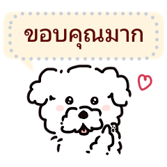 Fluffy "Cheese"'s message (Thailand)