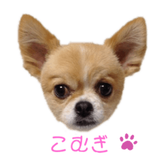 kazumi_20200623195555