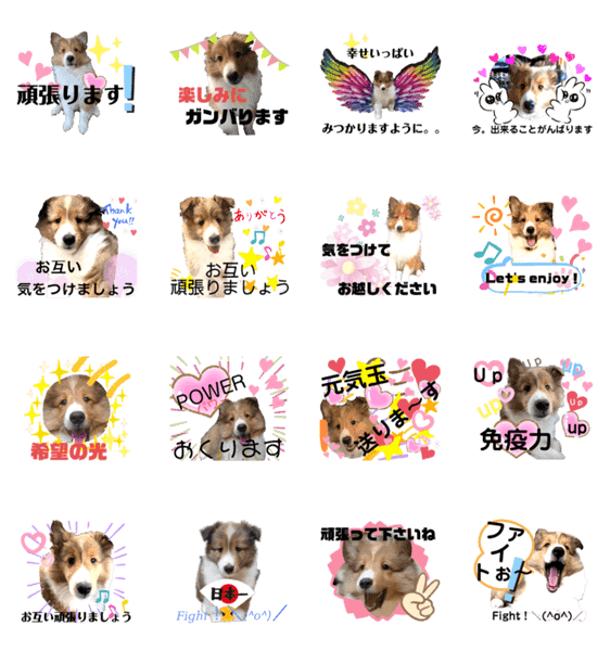 パピシェル 王子kun 応援編 頑張ろう Lineクリエイターズスタンプ Stamplist パピシェル 王子kun 応援編 頑張ろう Lineクリエイターズスタンプ Stamplist